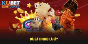 da-ga-thomo (1)